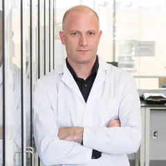 Exploring Animal and Human Brain Evolution