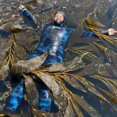 Kelp! I Am Stuck in a Forest!