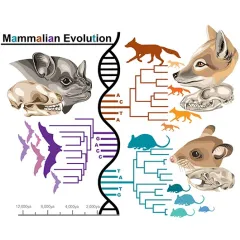 Empowering Voices: Spanish-Language Research Talks at the Smithsonian National Museum of Natural History