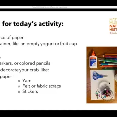 Museum Educators Lara Noren and Gale Robertson talk during a Zoom video webinar” 