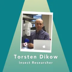 Torsten Dikow, insect researcher