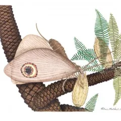 An insect with large wings on the branch of a plant