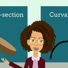 Illustration of woman and hair strand cross-section