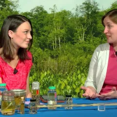 Maggy Benson and Dr. Anna Phillips seated behind a table with  various specimens in jars of fluid.
