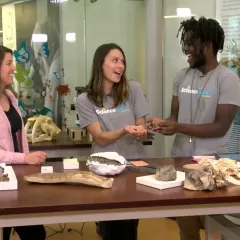 Laura Soul, Maggy Benson and Emmanuel Kyei-Baffour at a table with several bone specimens.