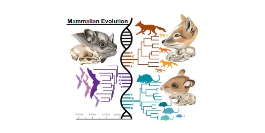 Empowering Voices: Spanish-Language Research Talks at the Smithsonian National Museum of Natural History