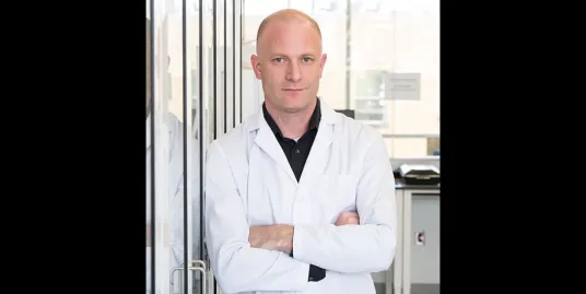 Exploring Animal and Human Brain Evolution