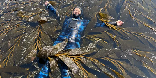 Kelp! I Am Stuck in a Forest!