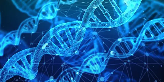 eDNA Detectives: Using Environmental DNA to Read the Story of an Ecosystem