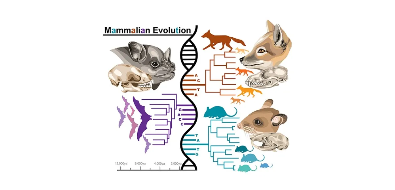 Empowering Voices: Spanish-Language Research Talks at the Smithsonian National Museum of Natural History