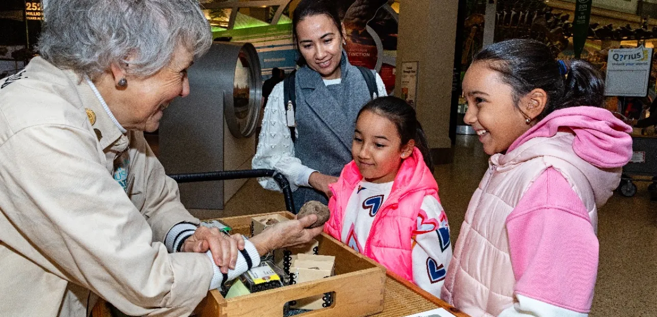 International Day of Women and Girls in Science at the National Museum of Natural History
