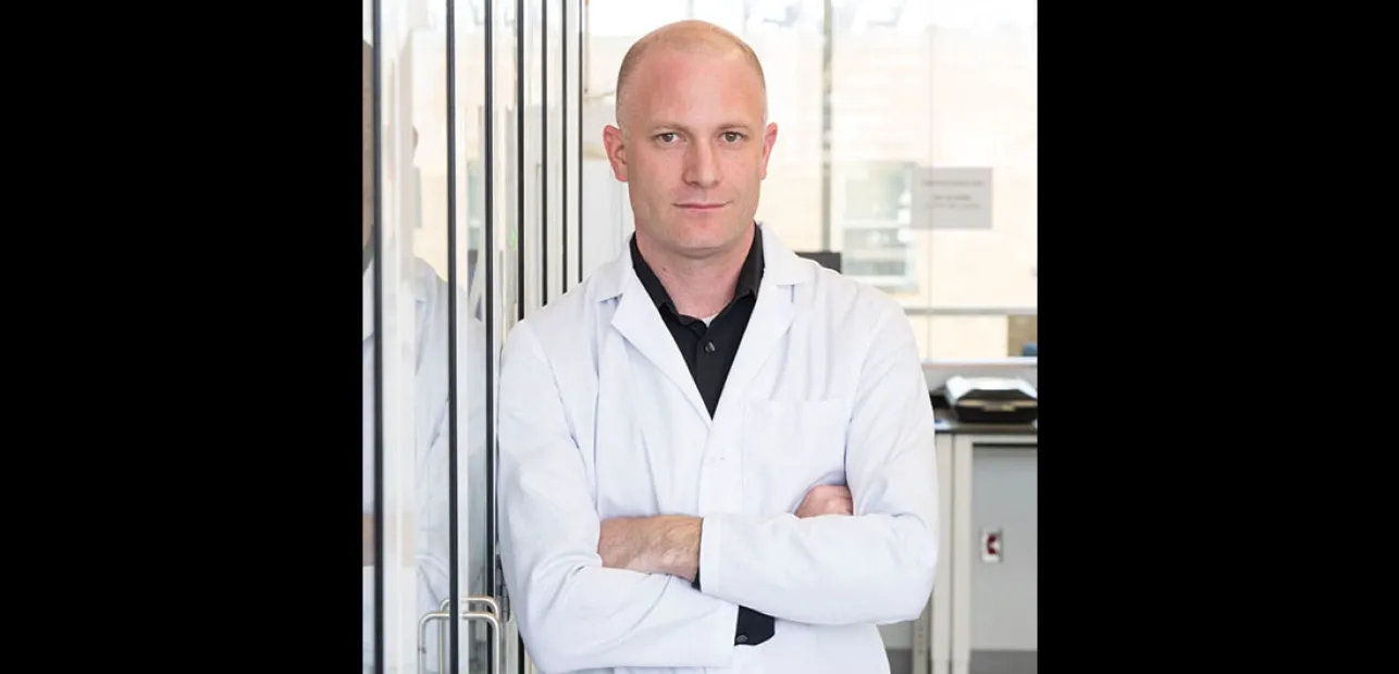 Exploring Animal and Human Brain Evolution