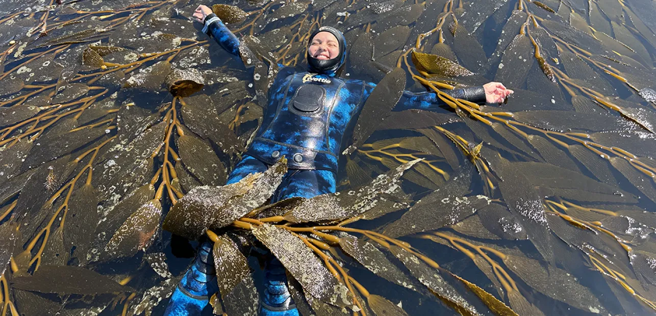 Kelp! I Am Stuck in a Forest!