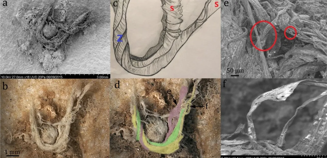 A Twist on Ancient Technology: Fiber, String, and More