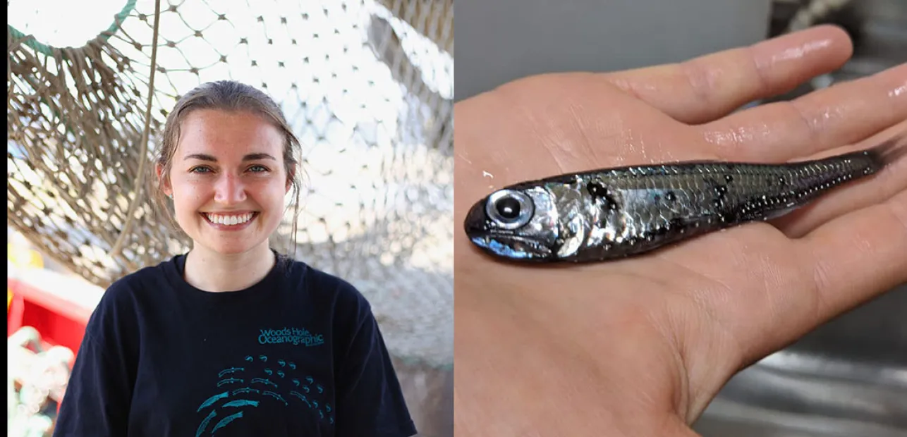 Diving Deep into the Ocean’s Twilight Zone