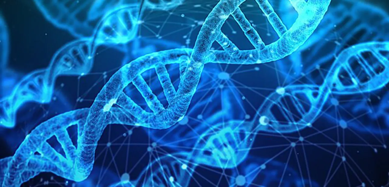 eDNA Detectives: Using Environmental DNA to Read the Story of an Ecosystem
