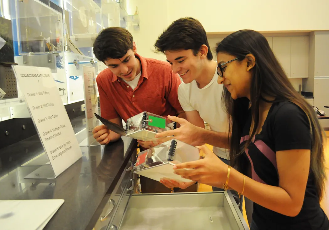 Two teenage boys and a girl standing next to a counter while holding and looking at two plastic boxes and a feather.