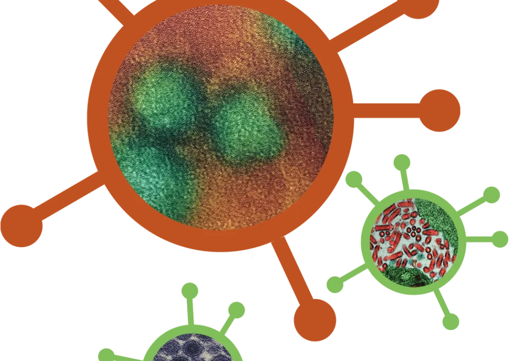 images of diseases on top of vector circles