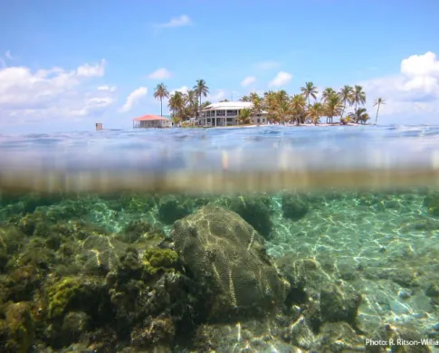 Carrie Bow Cay Field Station