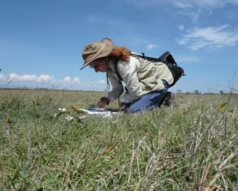 Briana Pobiner studying modern animal bones at Ol Pejeta Conservancy, Kenya