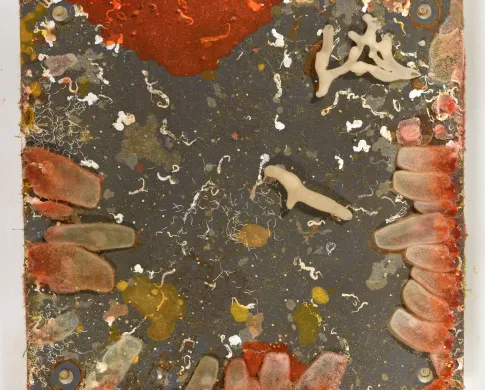 A grey square on a white background is covered in color creatures, such as red and white sea squirts, white tubular sponges, and patches of yellow or pink colonial animals.
