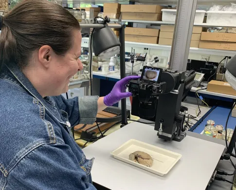 MDBC Technician Savannah photographing a crab specimen