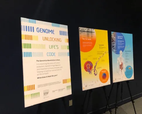 Three colorful panels on easels against dark blue wall