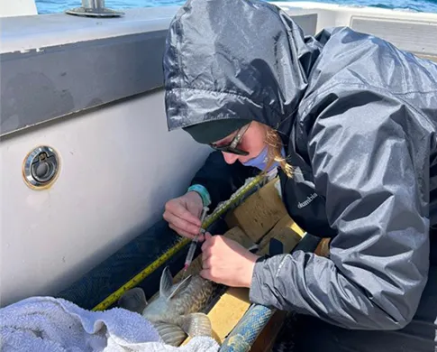 A person in a blue windbreaker, kneeling on a boat and using their right hand to hold a syringe to a fish.