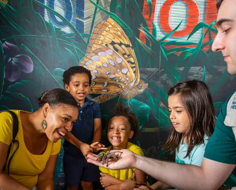 An Insect Zoo employee holds a tarantula in his hand as three children and a woman look in amazement.