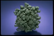 Chlorite (NMNH 145754)::10246374