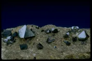Magnetite (NMNH B10614)::10246317