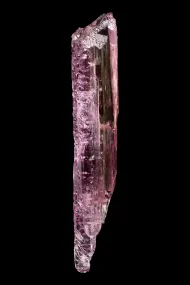 Spodumene (var. kunzite) (NMNH 177815)::16615026
