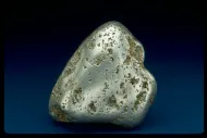 Platinum (NMNH 73736)::10246679
