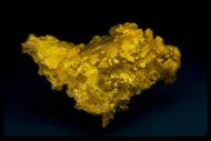 Gold (84445)::10246671
