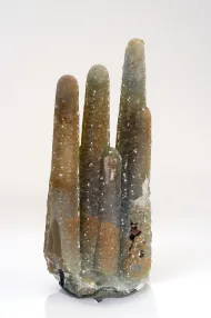 NMNH 137559::1000901