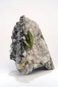 NMNH 19366::1000831