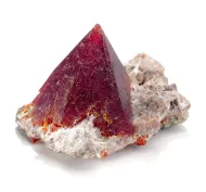 NMNH R17880::1000844