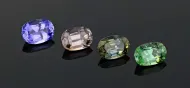 Zoisite Group (NMNH G10581-10584)::13069346