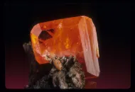 Wulfenite (NMNH C4812)::10965444