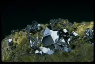 Sperrylite (NMNH 170395)::10246442