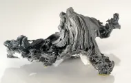 NMNH B212::1000837