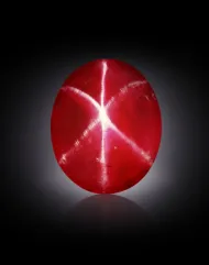 Rosser Reeves Star Ruby (NMNH G4257)::15324890