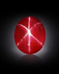 Rosser Reeves Star Ruby (NMNH G4257)::15324890
