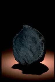 Murchison (USNM 403)::10246170