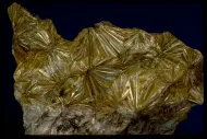 Pyrophyllite (NMNH 83459)::10246657