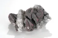 NMNH 93261::1000824