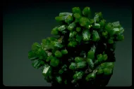Pyromorphite (NMNH 146262)::10246368