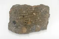 Weston (USNM 6530)::1000955