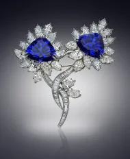Petersen Tanzanite Brooch (NMNH G10195)::15324907