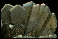 Marcasite (NMNH 147915)::10246311